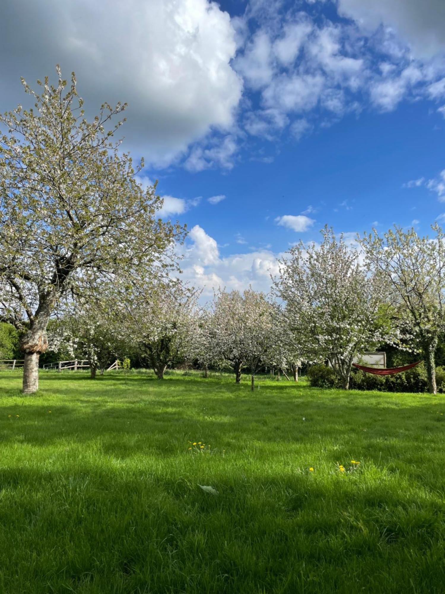 Gite A La Campagne Le Mesnil-Villeman Exterior foto